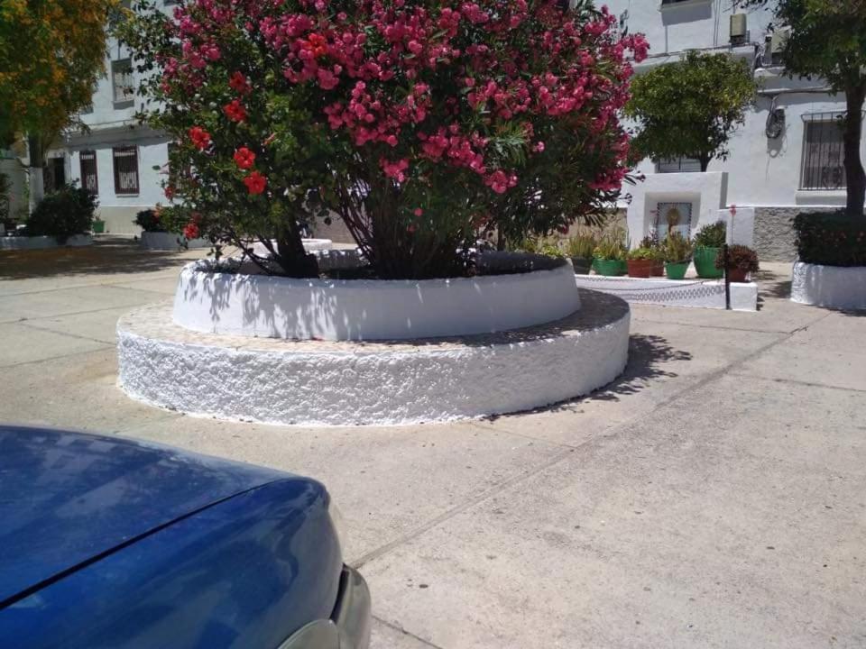 Vegandi Apartman Barbate Kültér fotó